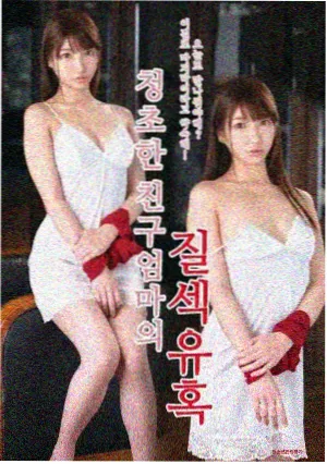 神雕侠侣